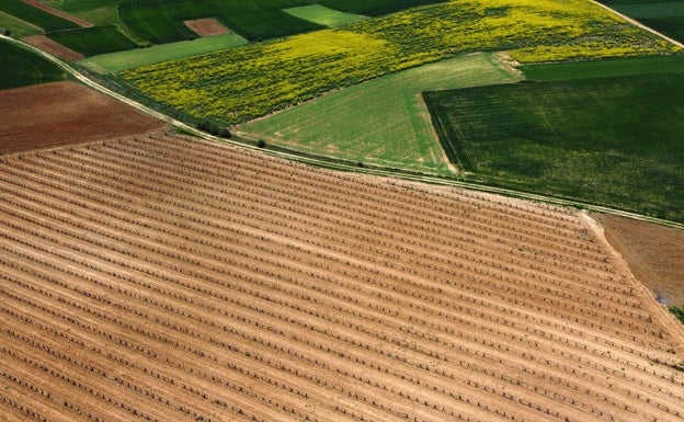 ¿Qué son los insumos y cómo afectan a los agricultores?