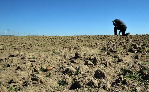 El Ministerio de Agricultura destina 12,7 millones para palir el incremento de los costes de producción