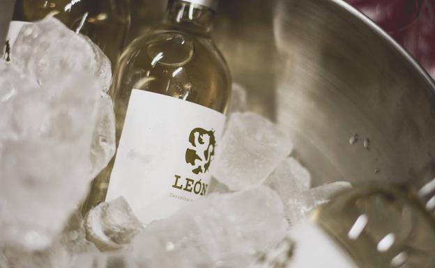 La DO León vuelve a inundar el barrio Romántico de vino blanco de la variedad Albarín