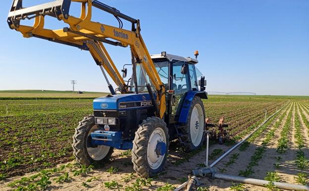 El calor marca su ley mientras el campo acusa la falta de agua