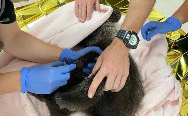 El PSOE denuncia el incumplimiento de la Junta sobre la construcción de un CRAS en León