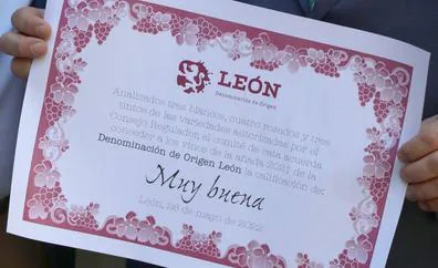Una añada 'muy buena' para los vinos de León