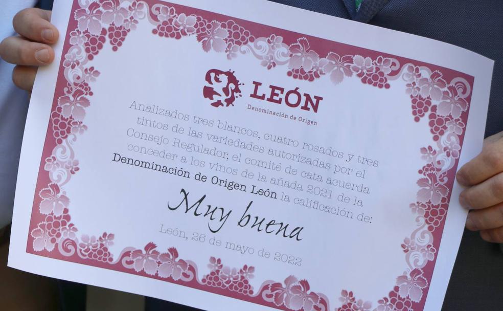 Una añada 'muy buena' para la DO León