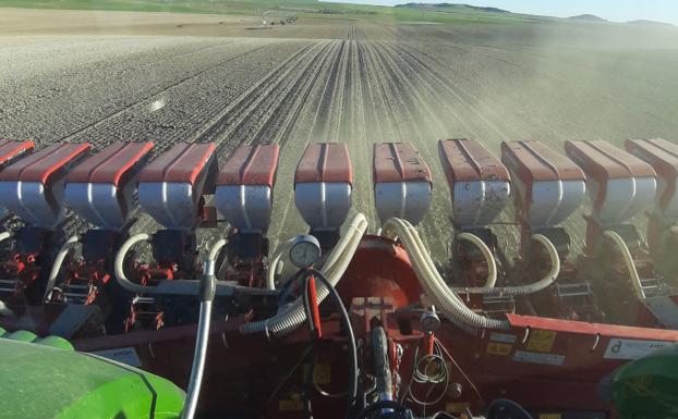 Asaja dice que los agricultores han aplicado «prudencia en el gasto» a la hora de elegir cultivos