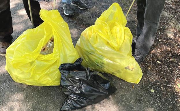 Cruz Roja organiza dos recogidas de basuraleza en el Torío y en el Sil