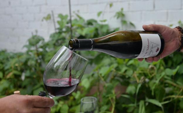 Urcacyl recoge los 60 vinos finalistas de los Premios Manojo