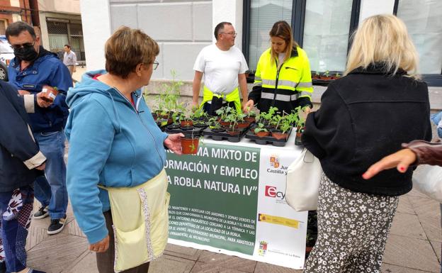 El taller de empleo RoblaNatura IV reparte plantas en el mercado semanal