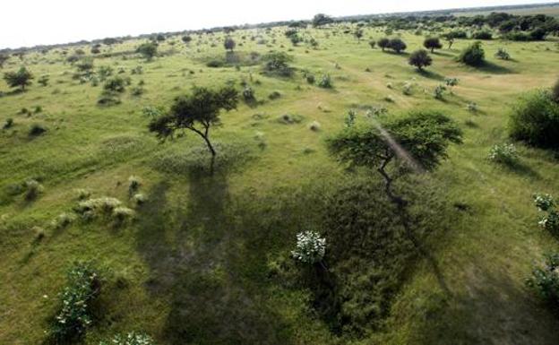 La Federación de Asociaciones Forestales de Castilla y León resalta su papel como protector de los bosques y de la biodiversidad