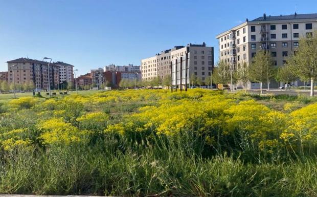 El PP denuncia el «abandono de Diez al barrio de La Lastra»