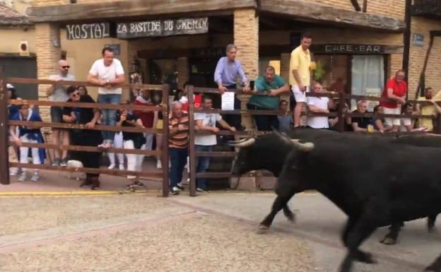 Chupinazo, encierro y capea en el inicio de fiestas de San Juan de Sahagún