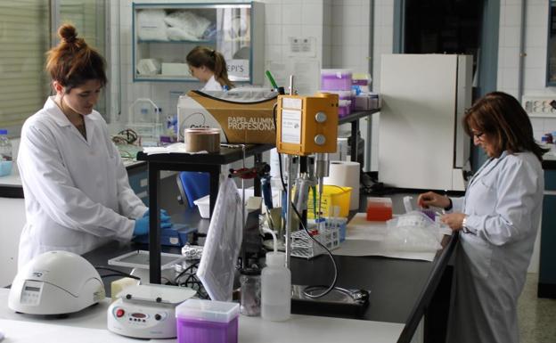 41 investigadoras de la ULE incluidas en el ranking según Google Scholar del CSIC