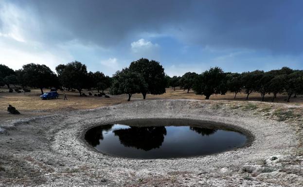 La Alianza UPA-COAG solicita a la Junta ayudas para garantizar el suministro de agua en las explotaciones