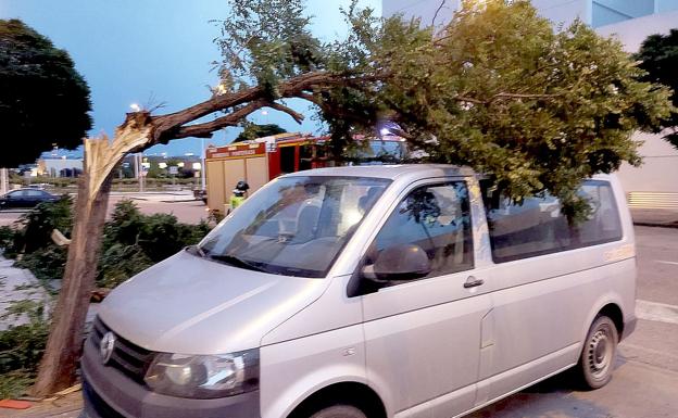 Árboles y antenas caídos por las rachas de viento obligan a intervenir a los bomberos de Ponferra