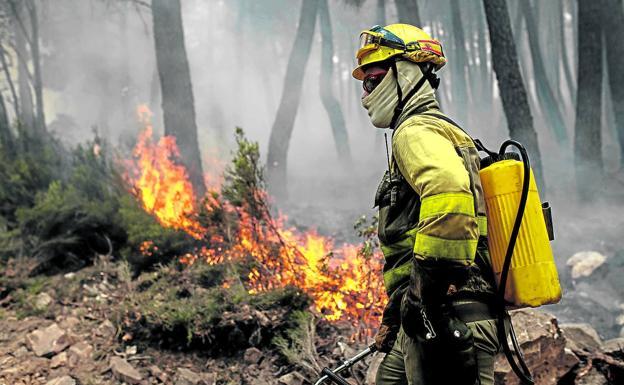 El incendio de Zamora ya amenaza León y se prevé llegue a la provincia por Nogarejas y Castrocontrigo