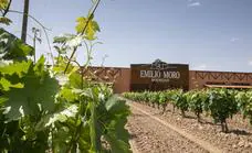 Bodegas Emilio Moro presenta la quinta añada del blanco godello El Zarzal elaborado en El Bierzo
