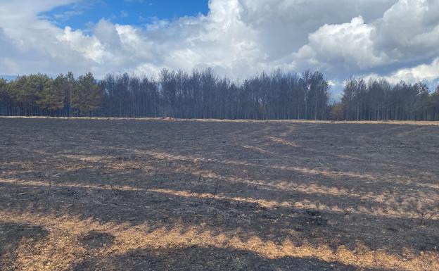 UPL recoge en su sede de León enseres para los afectados por el incendio de la Sierra de la Culebra