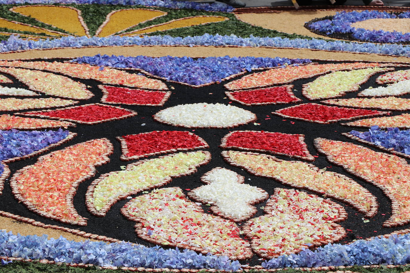 Una alfombra floral cubre la plaza de la catedral de León