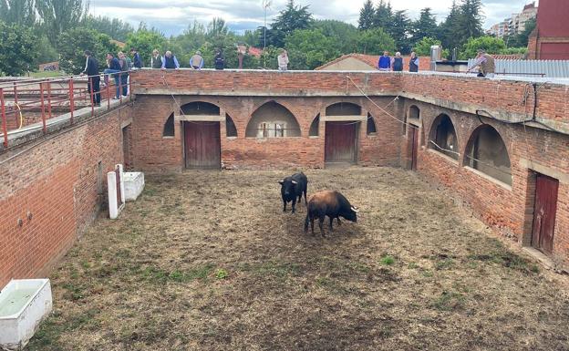 Los toros 'desembarcan' en León