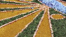Una alfombra floral cubre la plaza de la catedral de León