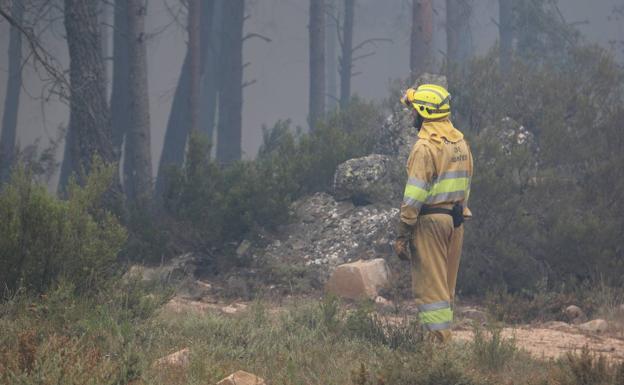 IU León reclama a la Diputación un plan contra incendios forestales «activo todo el año»
