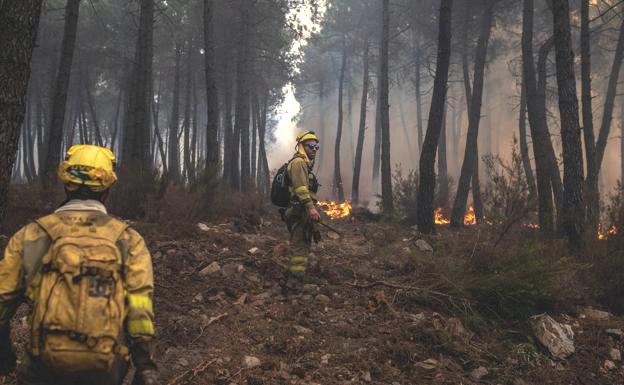 La Junta adelanta a este lunes el inicio del peligro alto de incendios que se mantendrá hasta el 30 de septiembre