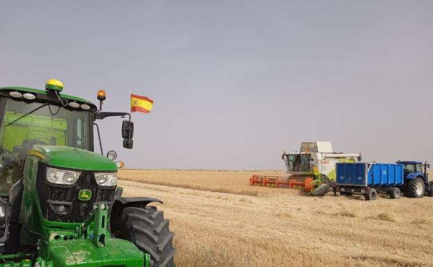 Agricultura calcula una merma en la cosecha de entre el 30% y 35% respecto a la campaña pasada