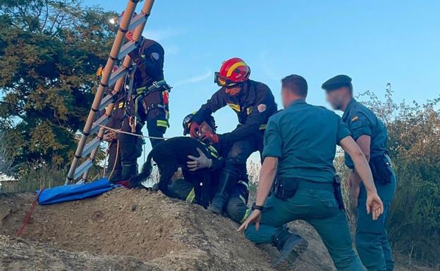 Bomberos de León salva a 'Rony', el perro que se cayó por el hueco de una bodega