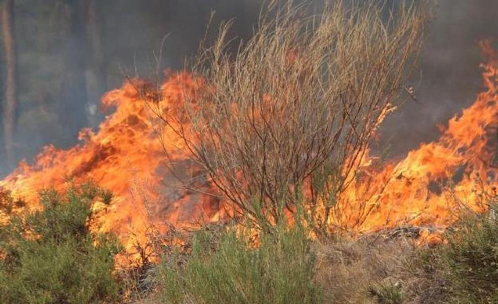 Dos incendios extinguidos en la provincia de León, uno de ellos originado por un rayo