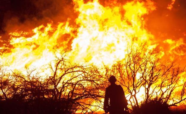 Investigan las causas de un incendio forestal en Villanueva del Carnero