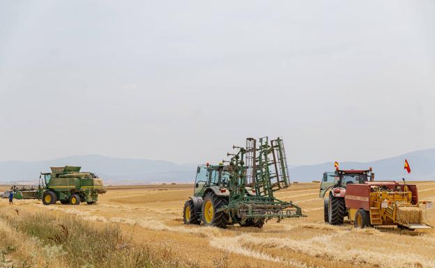 Continúan las fluctuaciones extremas en los mercados internacionales de cereales