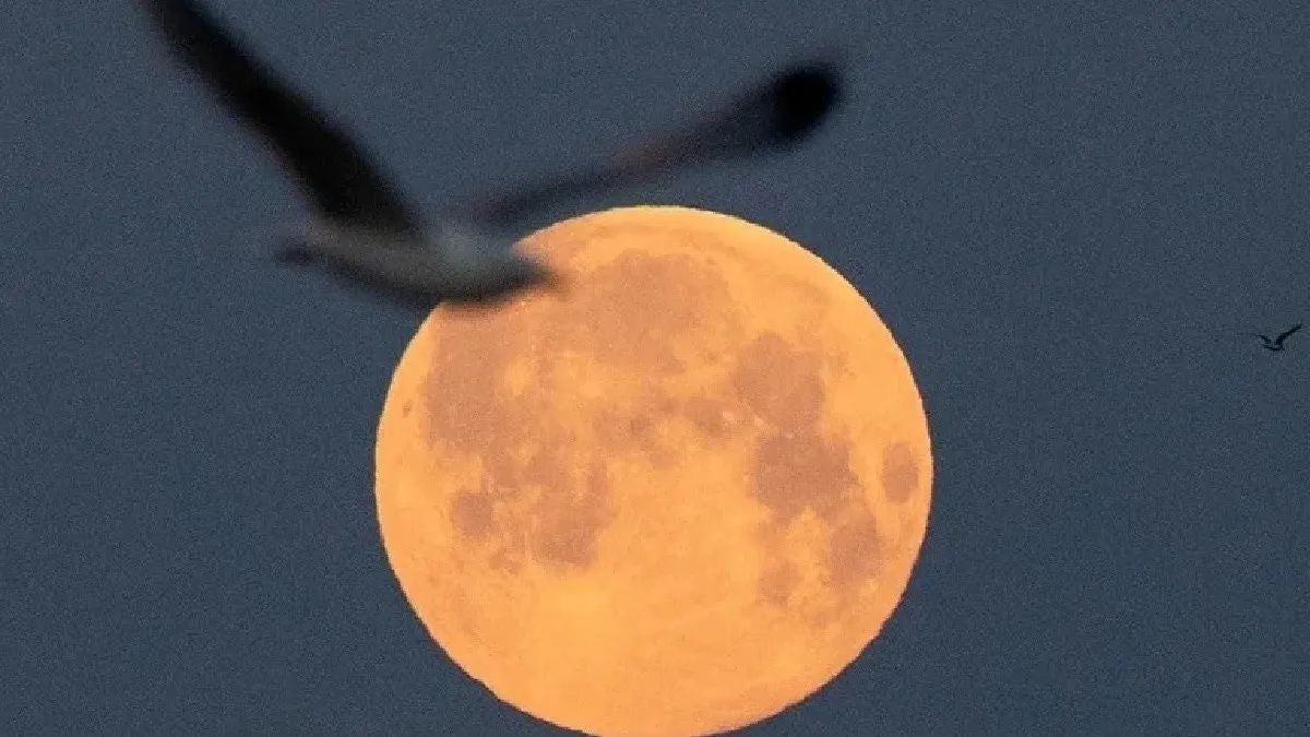 Superluna del Ciervo