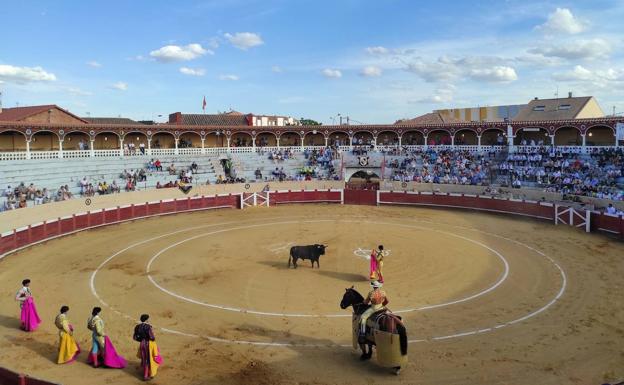 El toro de lidia cobra protagonismo este fin de semana en Valencia de Don Juan