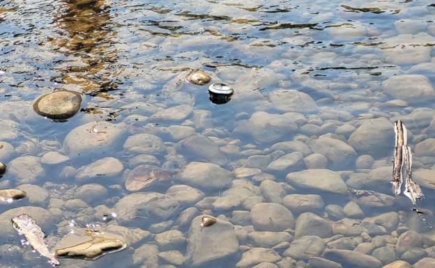 Denuncian la basura que se acumula en el Torío debido a los baños con la ola de calor