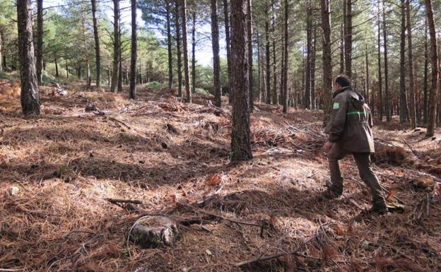 Sufre un accidente cuando llevaba avituallamiento al incendio forestal de Páramo del Sil