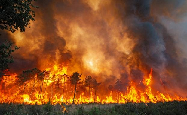 La ola de calor devasta Europa con altas temperaturas e incendios