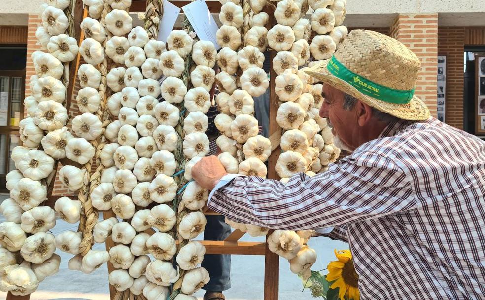 El ajo sigue siendo 'plato fuerte' en Santa Marina del Rey