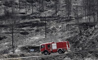 Dos olas de calor en un mes sumen a España en la mayor plaga de incendios forestales de la década