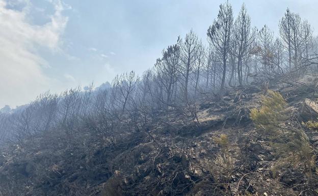 El incendio de Montes es ya «un completo y absoluto desastre»