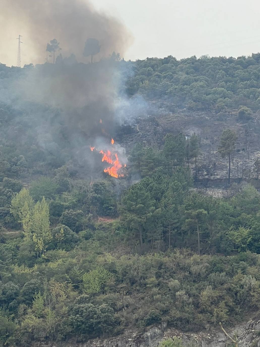 Incendio en Galicia que amenaza Puente de Domingo Flórez