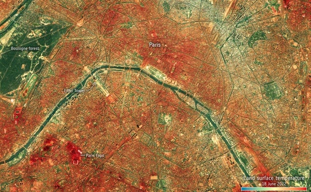 Las olas de calor extremo de este verano son «la nueva normalidad»