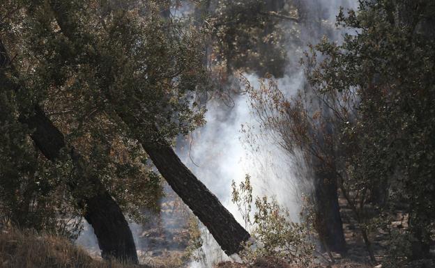 La Plataforma Ciudadana por el Futuro de León apoya la concentración por los incendios y pide la dimisión de Mañueco y Quiñones