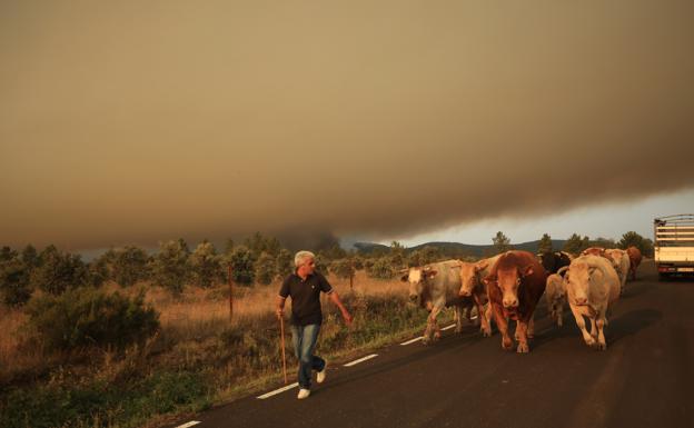 Asaja acusa a las «políticas europeas de despacho» del aumento de los incendios en España