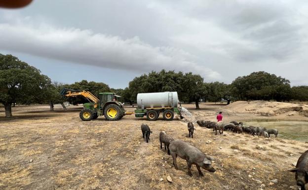 UPA-COAG exige a la Consejería que «no demore más» la convocatoria de la Mesa Regional de la Sequía