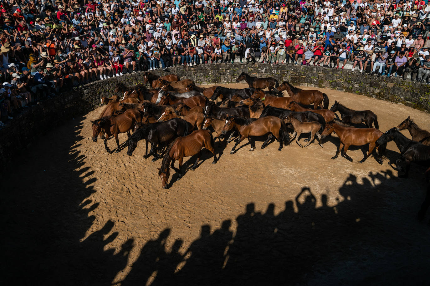 Rodeo a la gallega