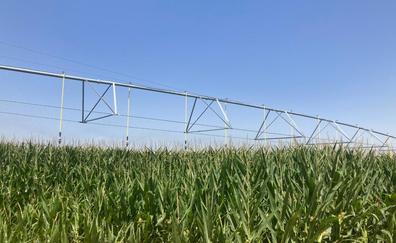 Agricultura destina 2,4 millones en ayudas para eficiencia energética