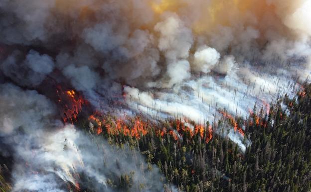 El PCE reclama al Consejo del Bierzo que se implique en la elaboración de planes forestales en la comarca