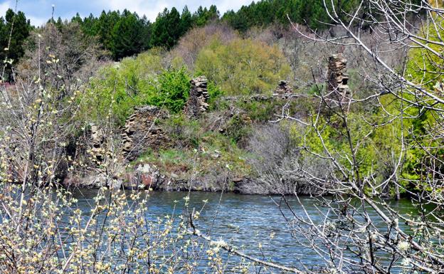 Riofrío acoge este domingo la vigésima segunda edición de 'Versos a Oliegos'