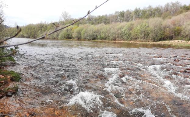 ASAJA pide que se levanten las restricciones que imponen los caudales ecológicos para salvar la agricultura y la ganadería