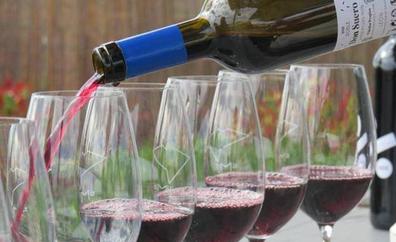 La Diputación de León distinguirá a los mejores vinos de la provincia con los I Premios Pisado