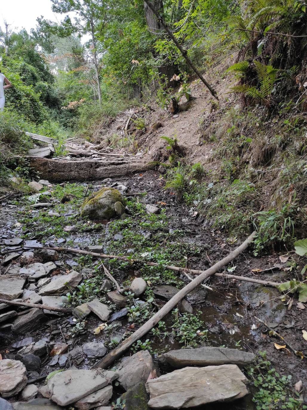 Ciudadanos denuncia el «abandono» que sufre Valdecañada con una captación de agua «en lamentable estado» y sin cobertura móvil